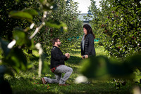 RENATA + DYLAN | APPLE ORCHARD