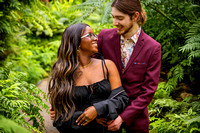 NAKIA + GRIFFIN | GARFIELD PARK CONSERVATORY
